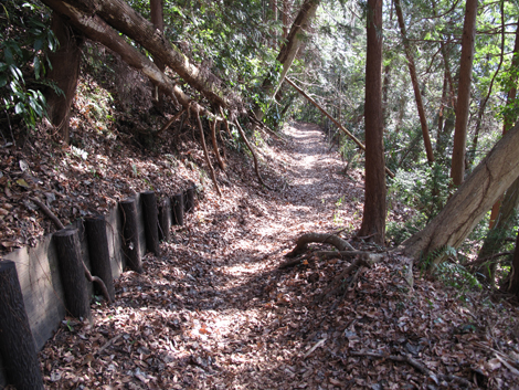 20160108hike (202)